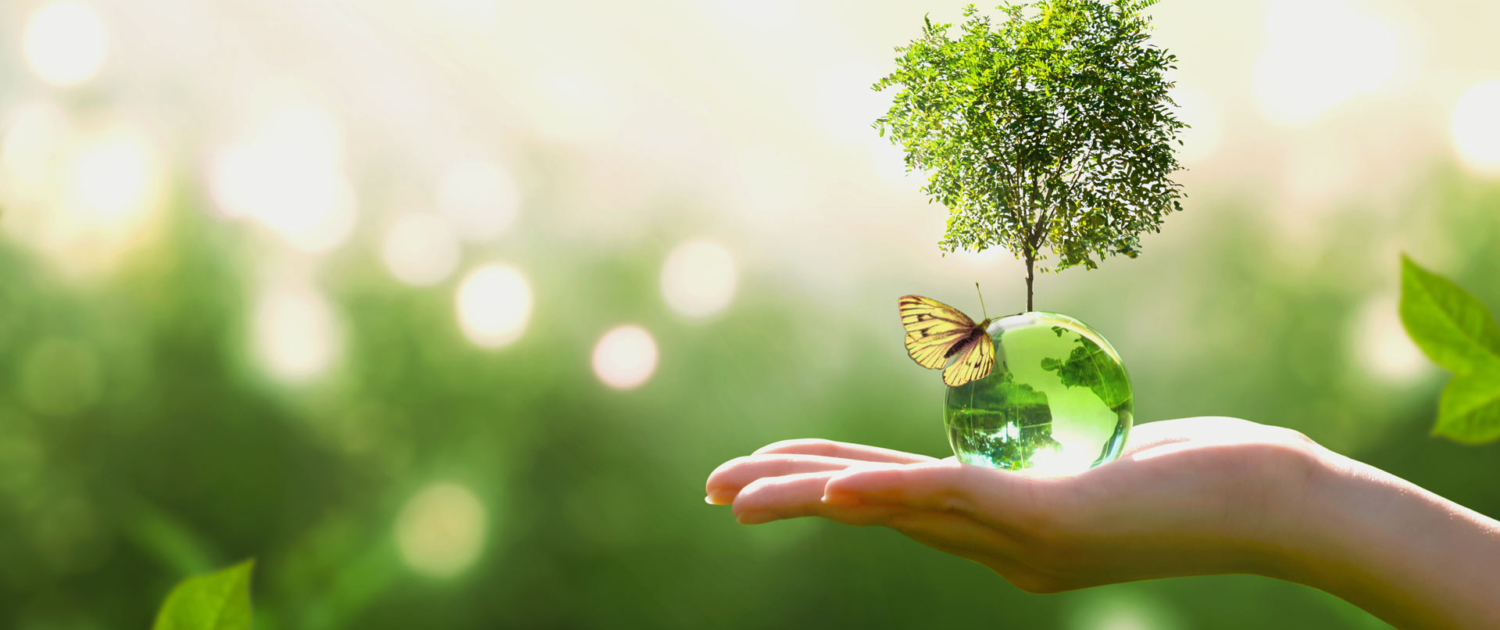 Slider Lustenberger Menziken Recycling-Point